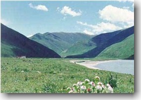 ���ý������ַ