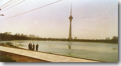 ������Ԩ̶