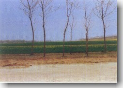 ������ˮ�롪���������