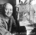 �����е��ɶ���